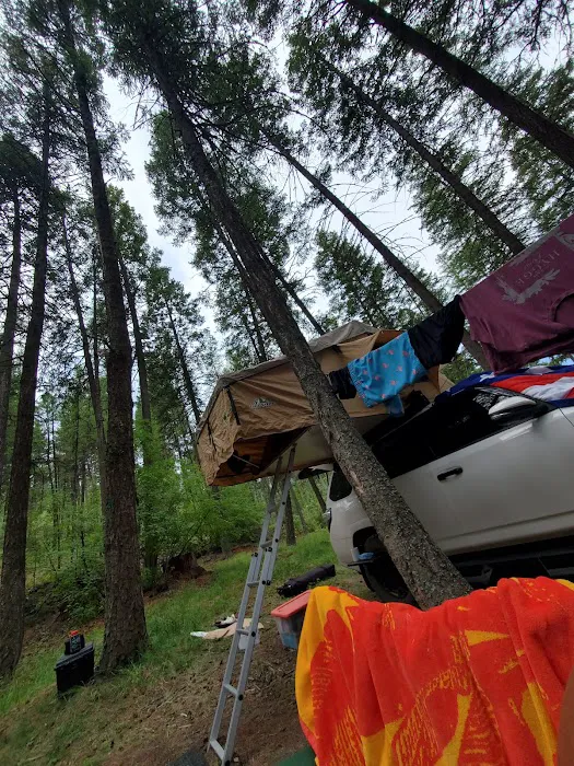 Ashley Lake South Campground Picture 4