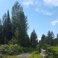 Spring Creek Campground ico