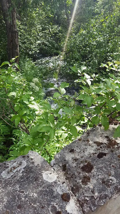 Spring Creek Campground Picture 5
