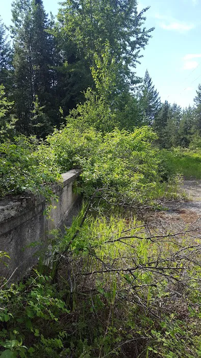 Spring Creek Campground Picture 2