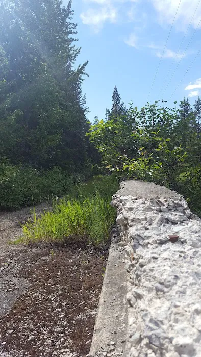 Spring Creek Campground Picture 3