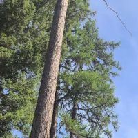 Upper Stillwater Campground ico