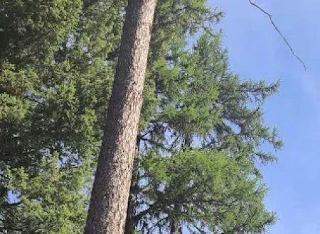 Upper Stillwater Campground