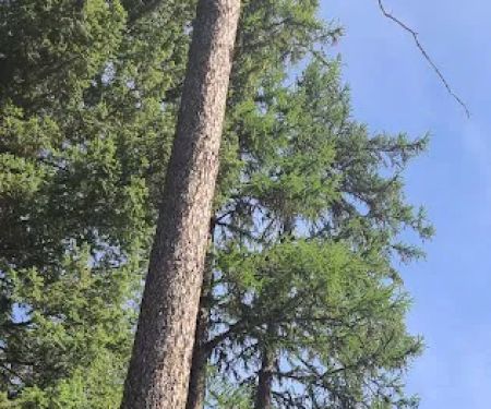 Upper Stillwater Campground
