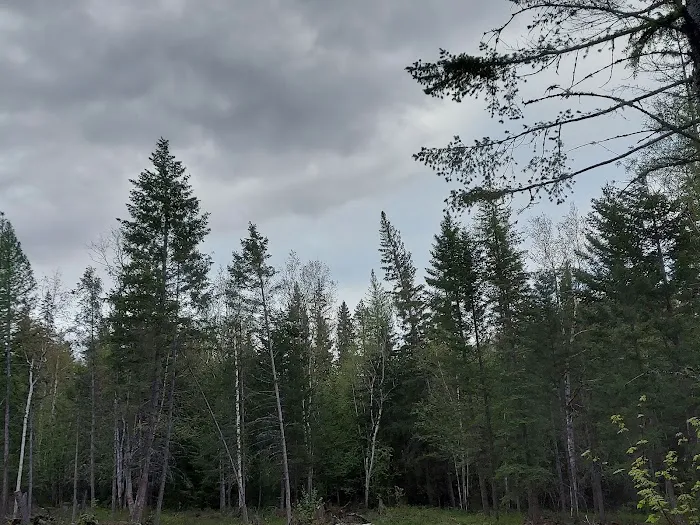 Birch Creek Recreation Area Picture 4