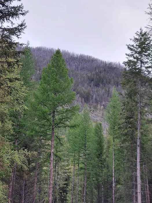 Birch Creek Recreation Area Picture 6