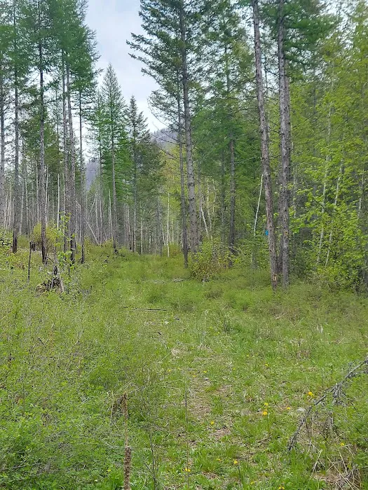 Birch Creek Recreation Area Picture 9