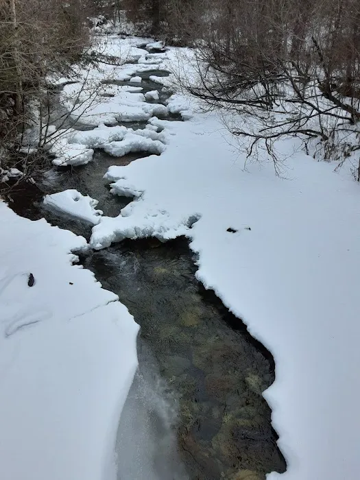 Birch Creek Recreation Area Picture 8