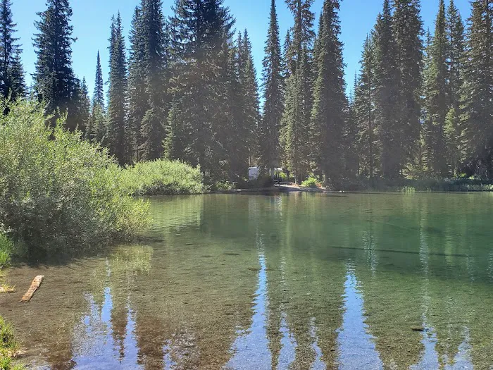 Upper Whitefish Campground Picture 5