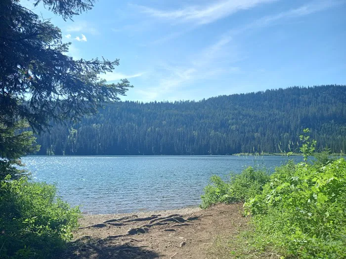 Upper Whitefish Campground Picture 4