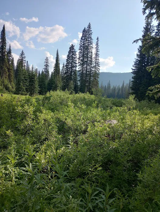 Red Meadow Lake Campground Picture 2