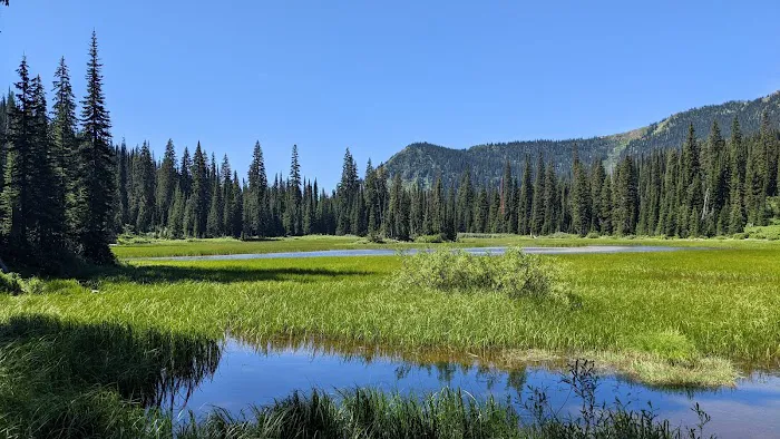 Red Meadow Lake Campground Picture 7