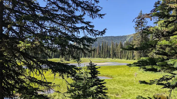 Red Meadow Lake Campground Picture 10