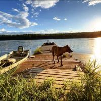Stillwater Campground ico