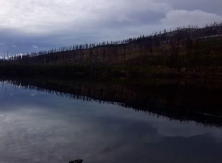Sylvia Lake Campground