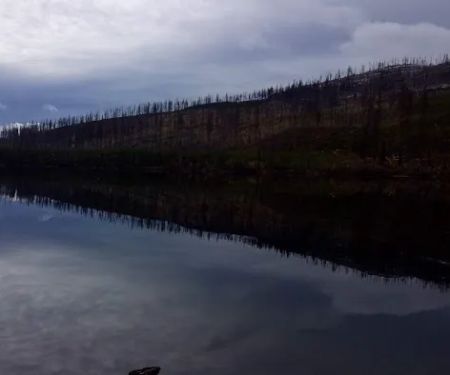 Sylvia Lake Campground