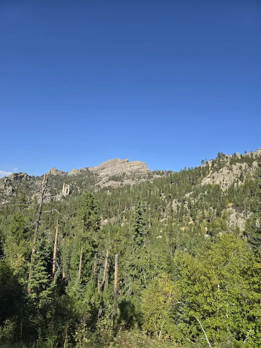 Sylvia Lake Campground Picture 7