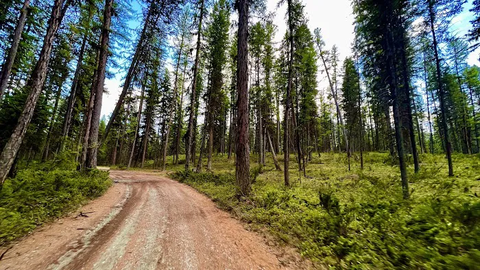 Tally Lake Campground Picture 6