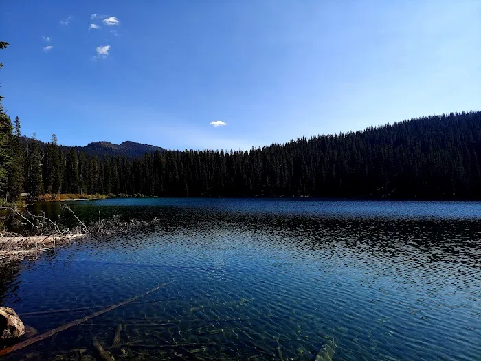 Therriault Lake Campground Picture 9