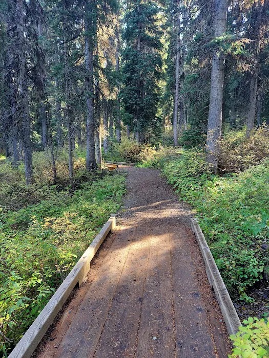 Therriault Lake Campground Picture 7