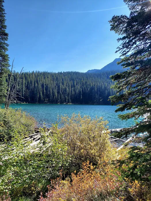 Therriault Lake Campground Picture 3