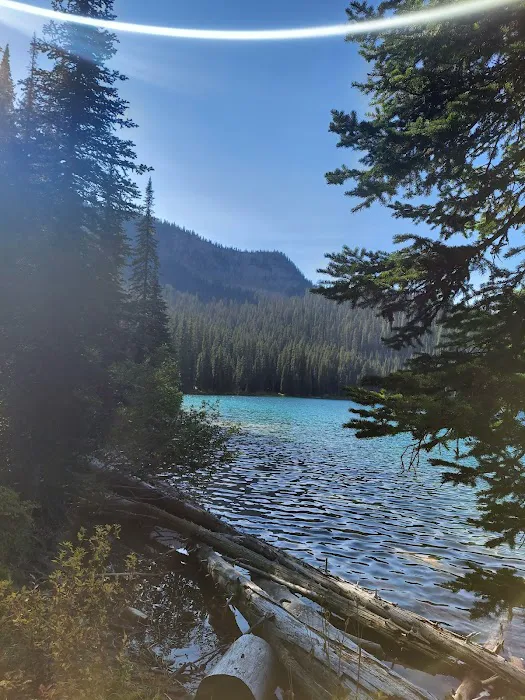 Therriault Lake Campground Picture 8