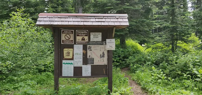 Little Therriault Lake Campground Picture 1