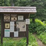 Little Therriault Lake Campground