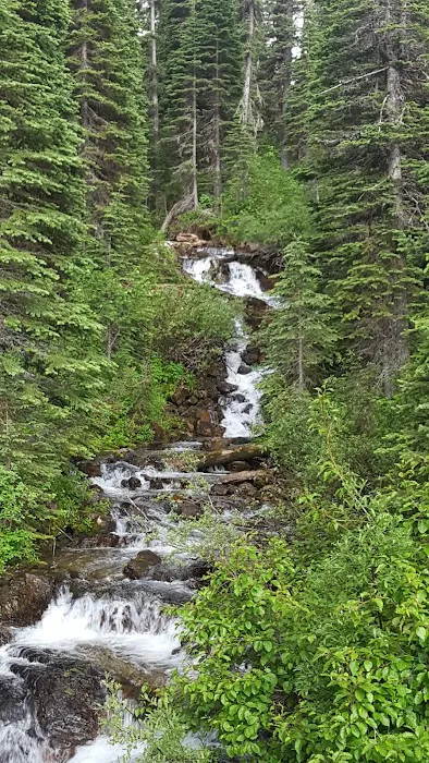 Big Therriault Campground Picture 6