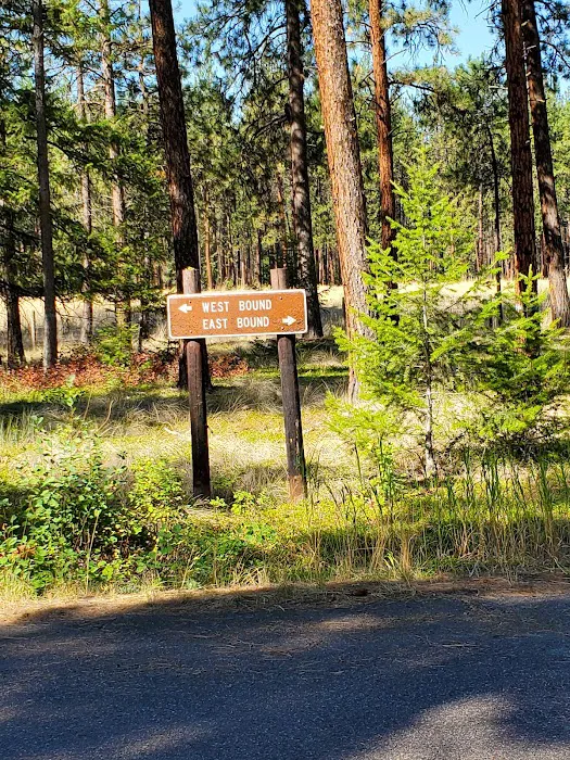 Quartz Flat Campground Picture 7