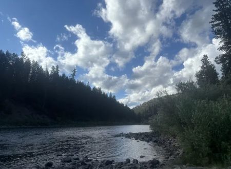 Forest Grove Campground