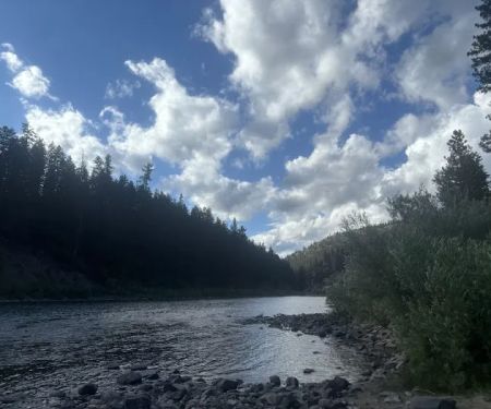 Forest Grove Campground