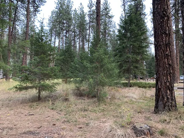 Forest Grove Campground Picture 4