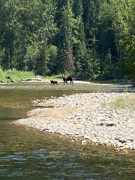 Clearwater Crossing Campground Picture 6