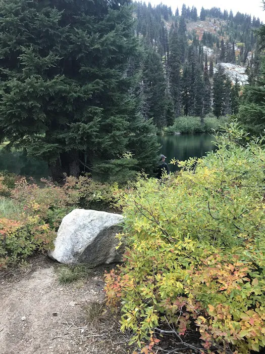 Rocky Ridge Lake Campground Picture 3