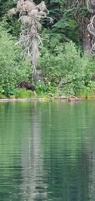 Rocky Ridge Lake Campground Picture 7