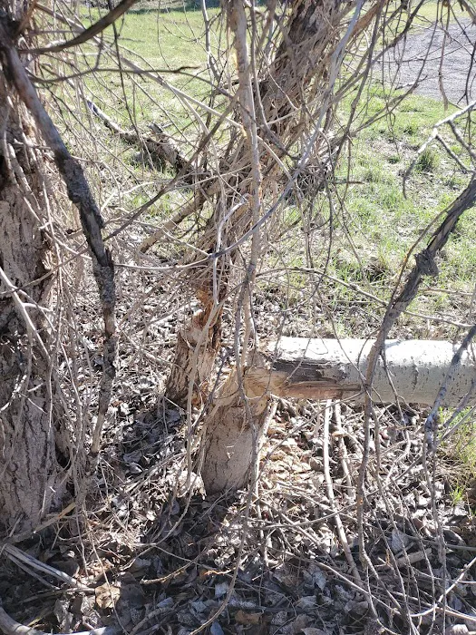 Triple Bridges Campground Picture 4