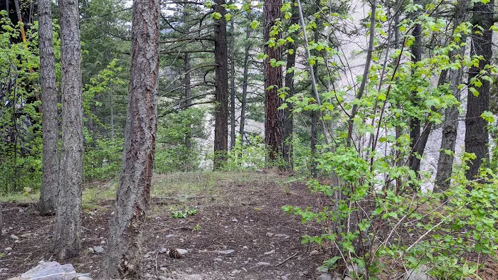 Triple Bridges Campground Picture 1
