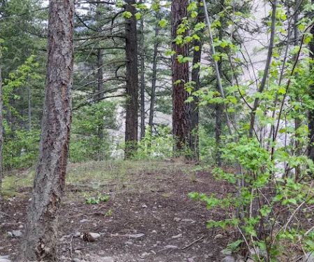 Triple Bridges Campground