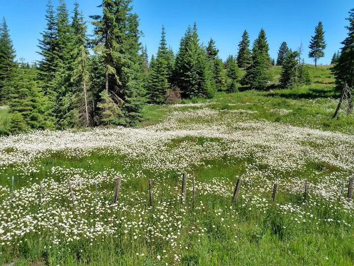 Soldier's Meadow Reservoir Picture 3