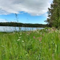 Soldier's Meadow Reservoir ico