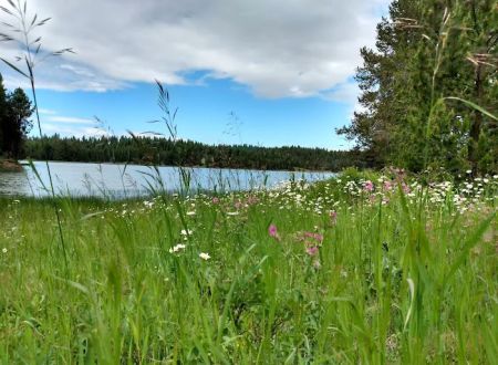 Soldier's Meadow Reservoir