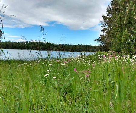 Soldier's Meadow Reservoir