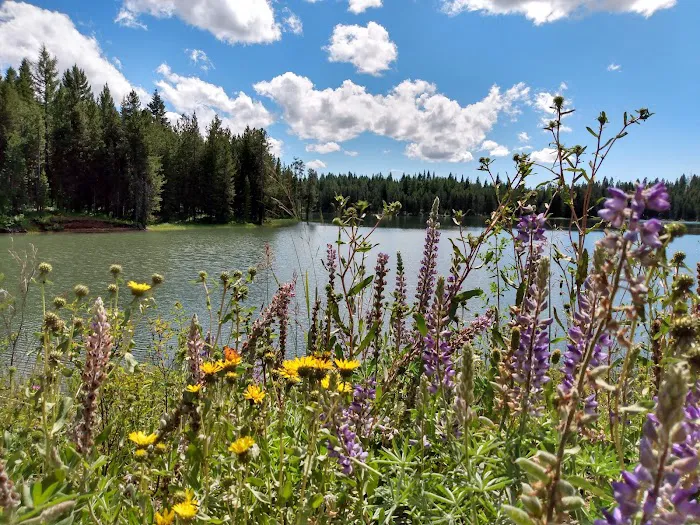 Soldier's Meadow Reservoir Picture 5