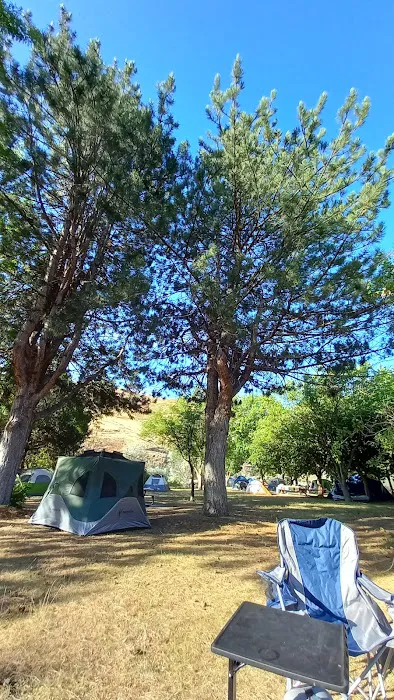 Camp Site Clarkston Picture 2