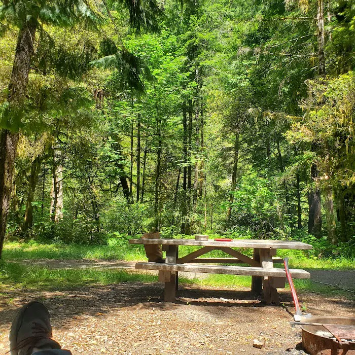 Sunshine Bar Campground Picture 6