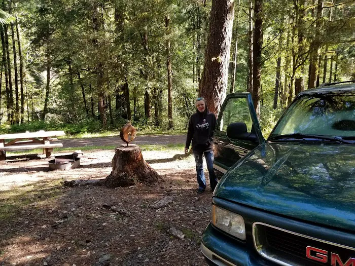 Sunshine Bar Campground Picture 2
