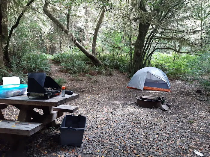 Sunshine Bar Campground Picture 4