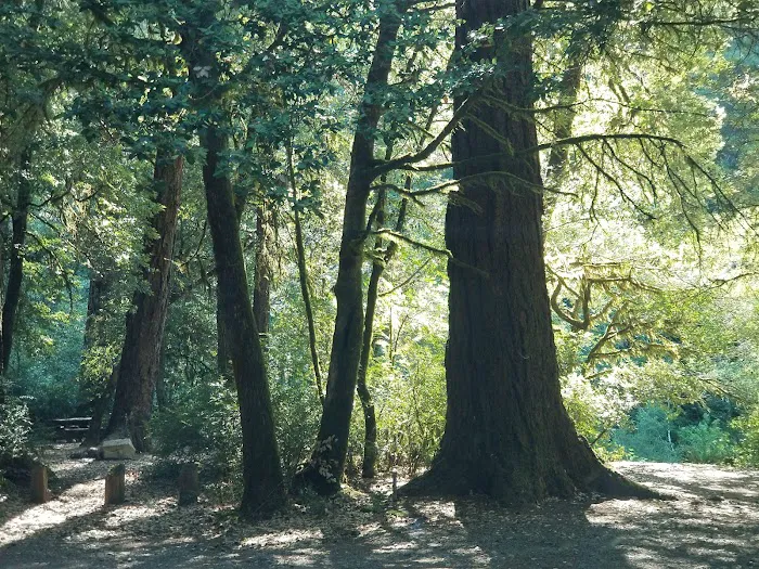 Butler Bar Campground Picture 2