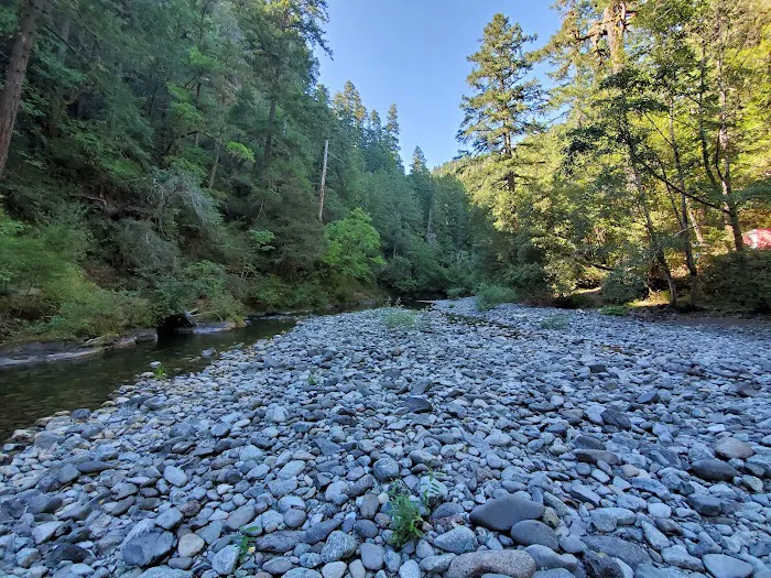 Butler Bar Campground Picture 9